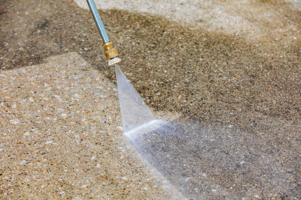Best Gutter Cleaning  in Port Byron, NY